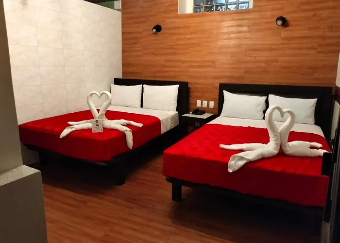 Sonno Plaza Allende Hotel